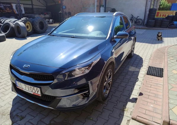 Kia XCeed cena 85000 przebieg: 63800, rok produkcji 2020 z Włoszczowa małe 106